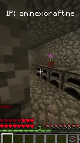 IP: am.nexcraft.me #рекомендации #рек #антигрифершоу #антигрифершоуфредж #рекомендации #рек #антигрифершоу #антигрифершоуфредж #рек #рек #рек 