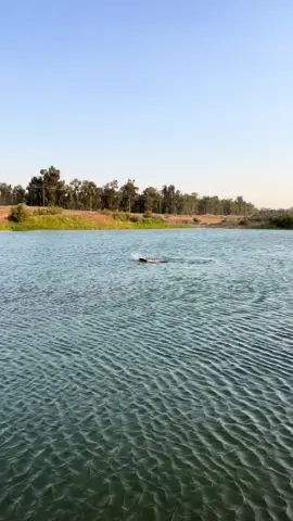 جةژن لة كةلةك ياريمان كرد 
