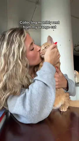 I rescued his off the street, feed him, change his litter, play with him, it’s the least he could do!!! @Django the mini tiger 