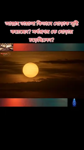 আল্লাহ তায়ালা কিভাবে ঘোড়াক সৃষ্টি করেছেন? সর্বপ্রথম কে ঘোড়ায় চড়েছিলেন?