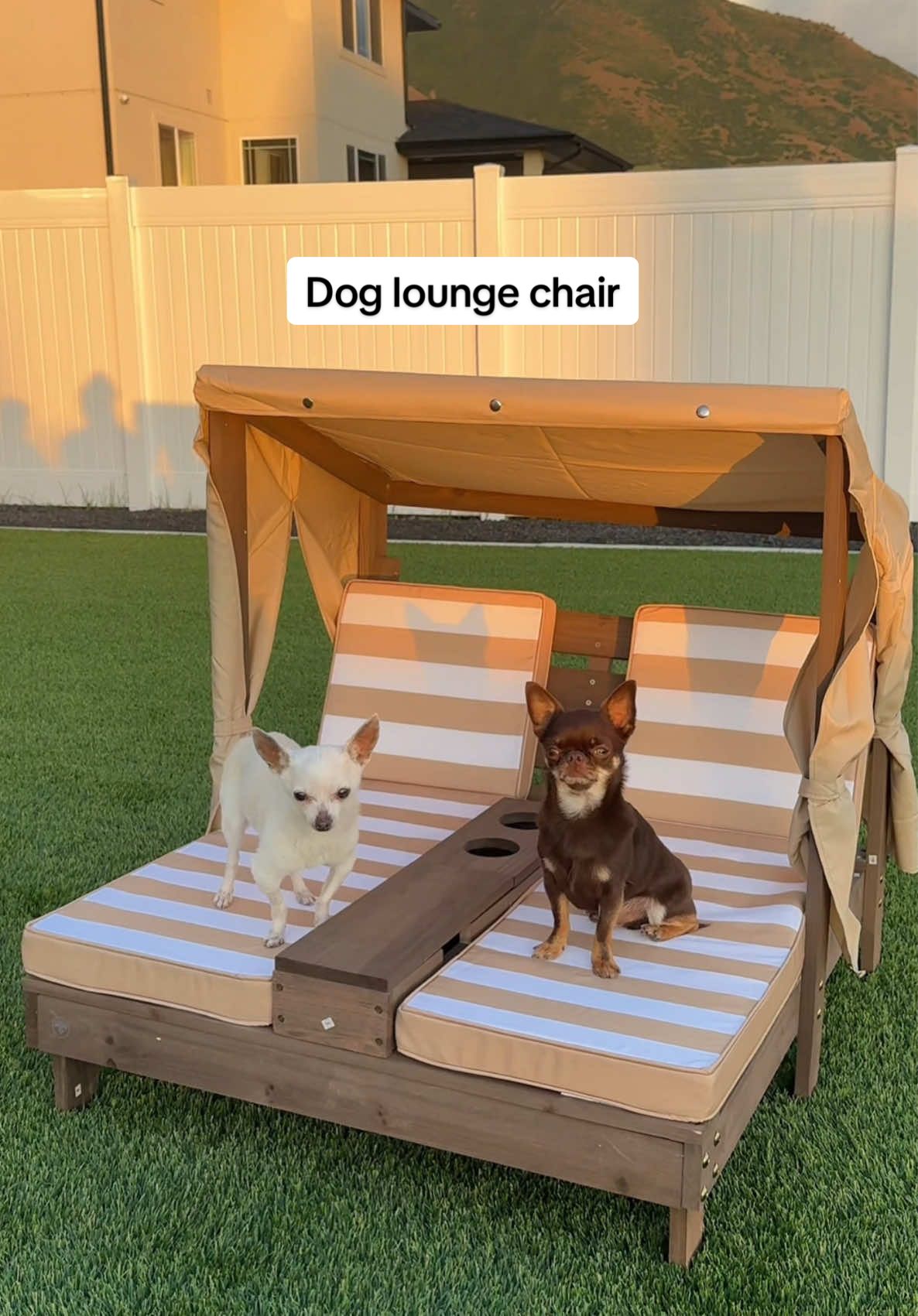 I’m obsesseddddd with how this turned out!! This dog lounge chair is linked on my Amazon Storefront under ‘fav dog products’🐾 #dogmom #dogloungechair #outdoorfurniture #outdoordogchair #chihuahua #utah #dogsummer #amazondog 