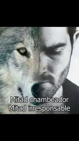 mi espiritu animal #lobo #chad #sigma #hombre #caballero #chicos #pibes #chamba #trabajo #irresponsable #animal #estoicismo #mentalidad #estoico #men #gentleman #chamo #causa #panas