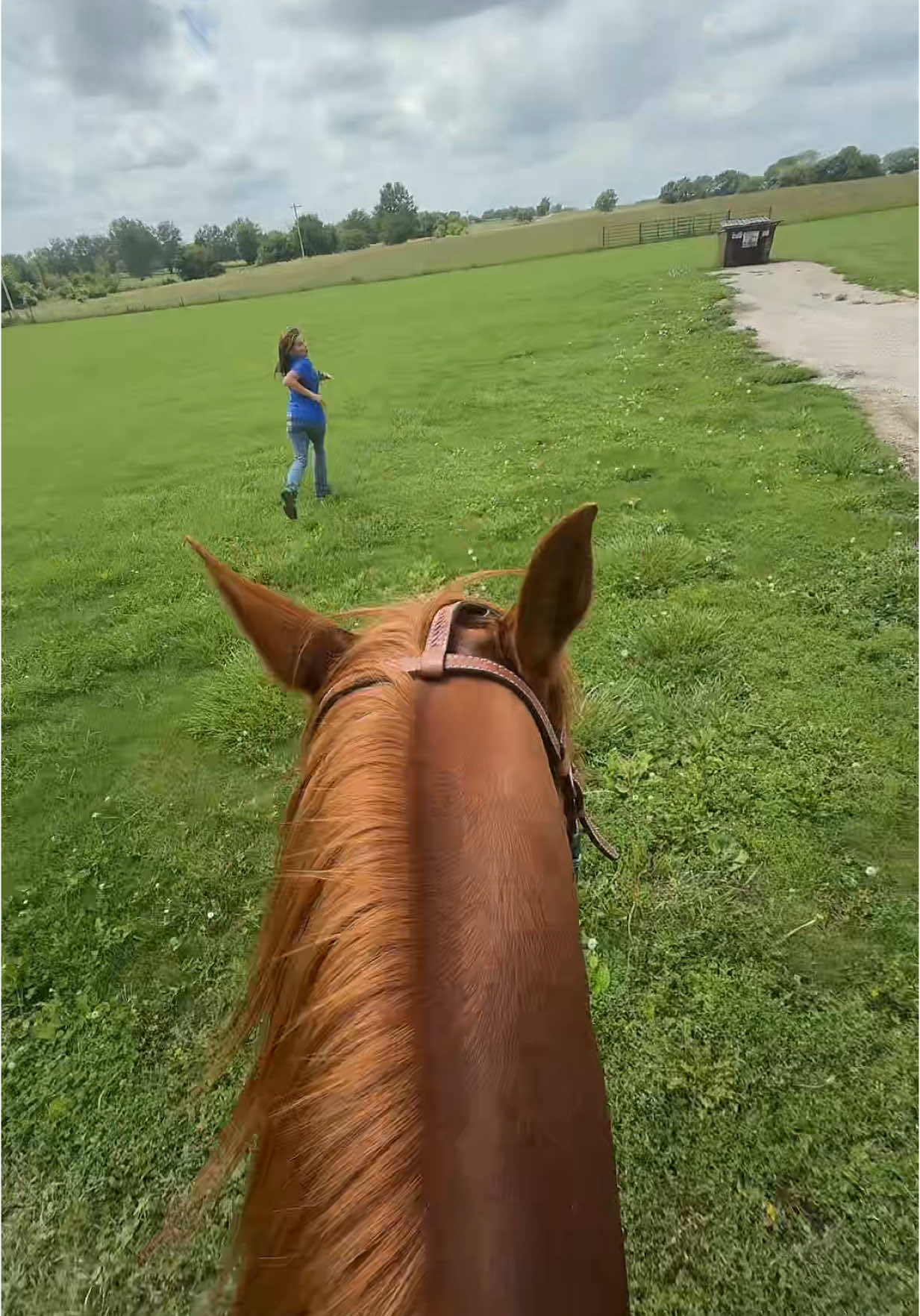 Anyone else have this hobby?🥰
