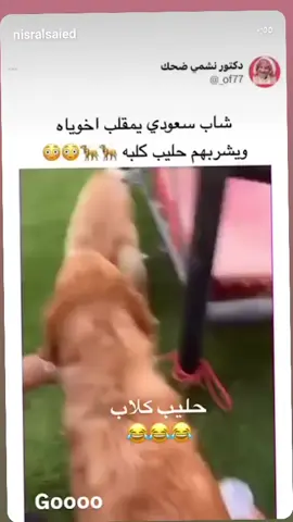 مقبل قوي