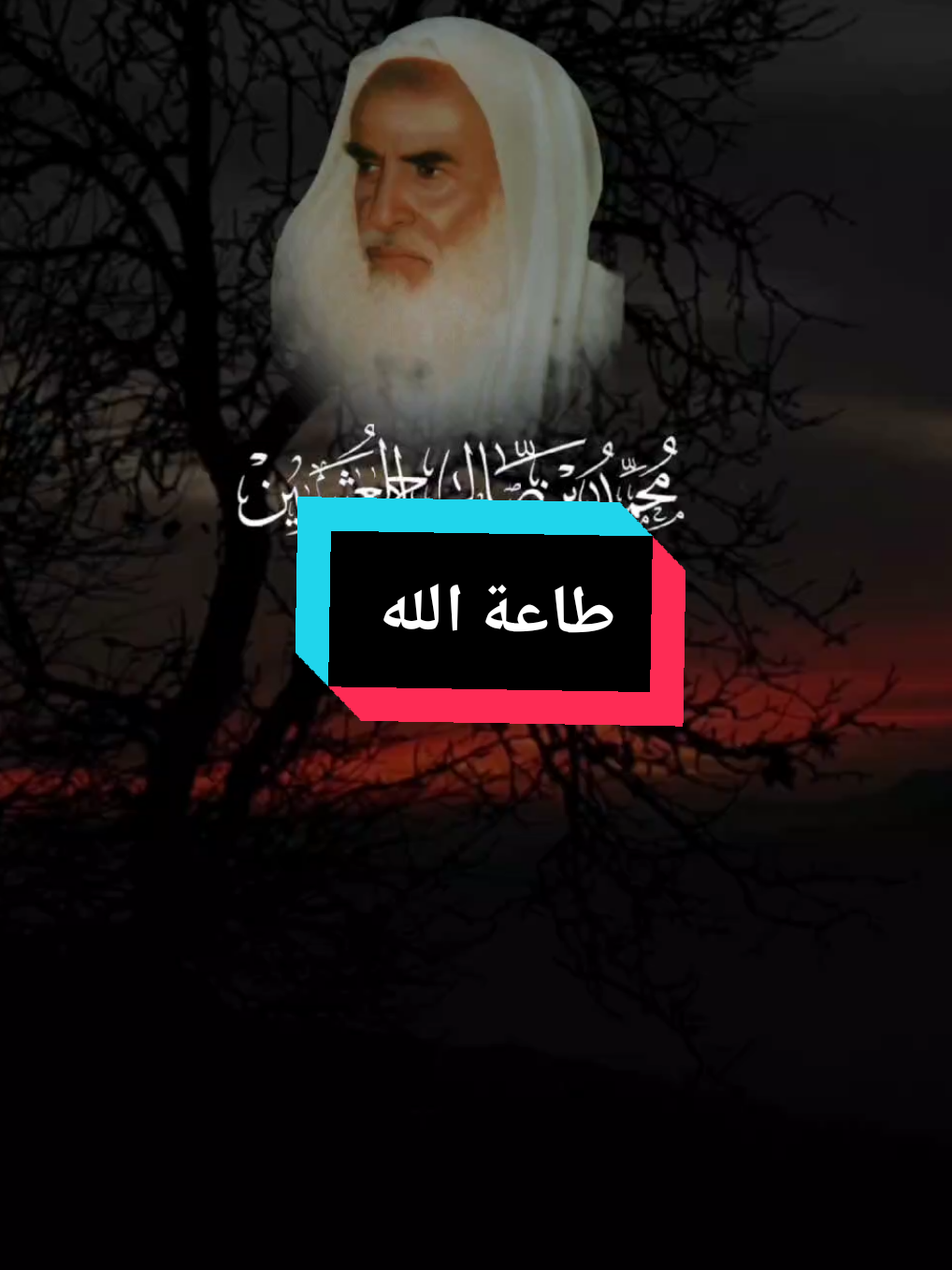 #creatorsearchinsights الطمأنينة في طاعة الله الشيخ إبن عثيمين رحمه الله #طاعة_الله #ابن_عثيمين #عيد_مبارك #islamic_video #tik_tok #fyp #CapCut #ترند 