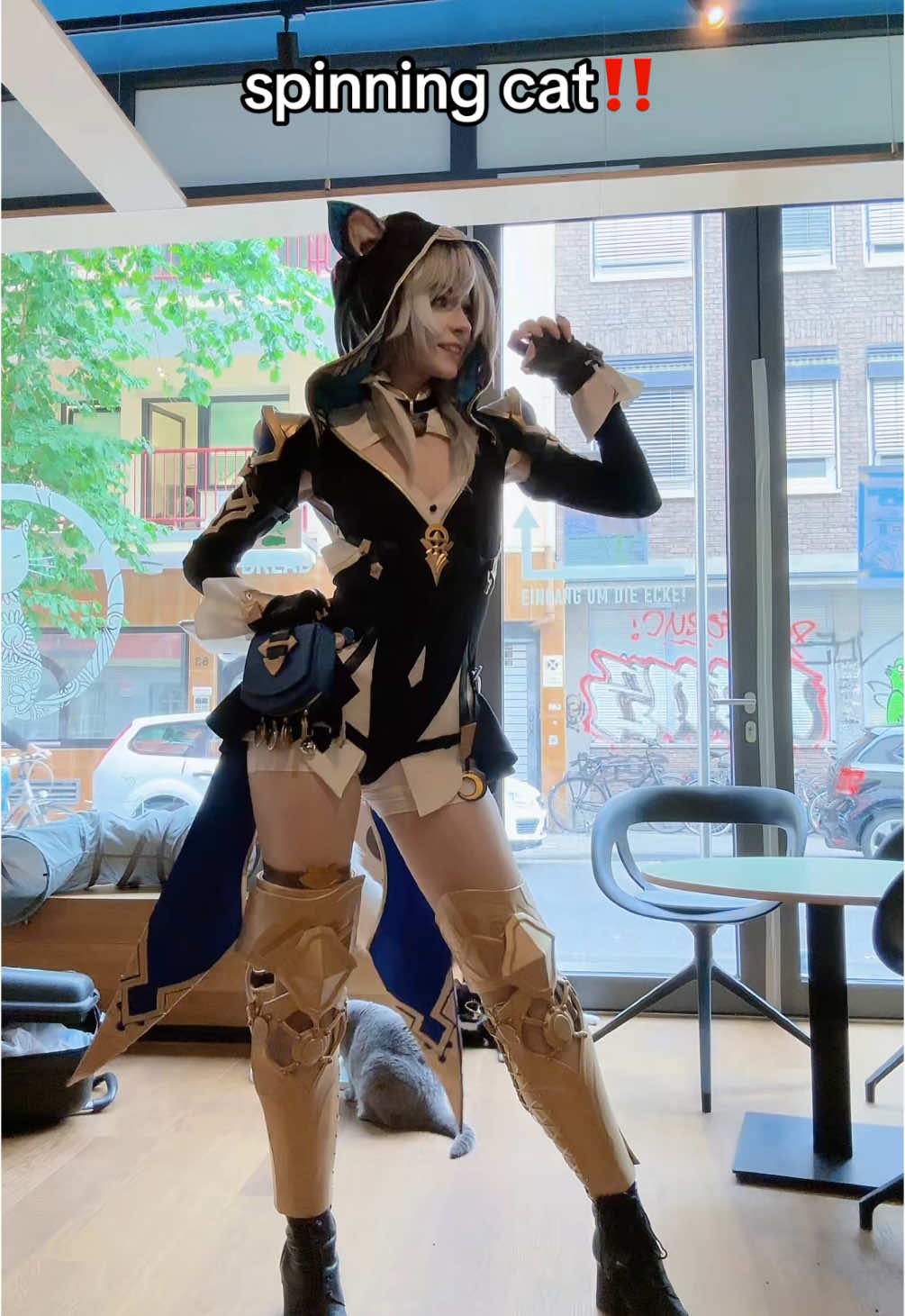 vertikal rotierende katze 🐈 #cipher #HonkaiStarRail #katzentempel #catcafe #kittycat #ciphercosplay #uiiaiouuiiaio #brainrot #hsrcosplay #hsrcreators #amphoreus #honkaistarrailcosplay #dokomi #catmeme 