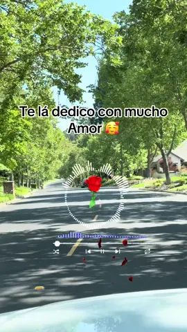 Brindis#brindis #videoviral #graciasdios #exito #fyp #graciasporelapoyo #romanticas #musicaromanticas♥️😍 