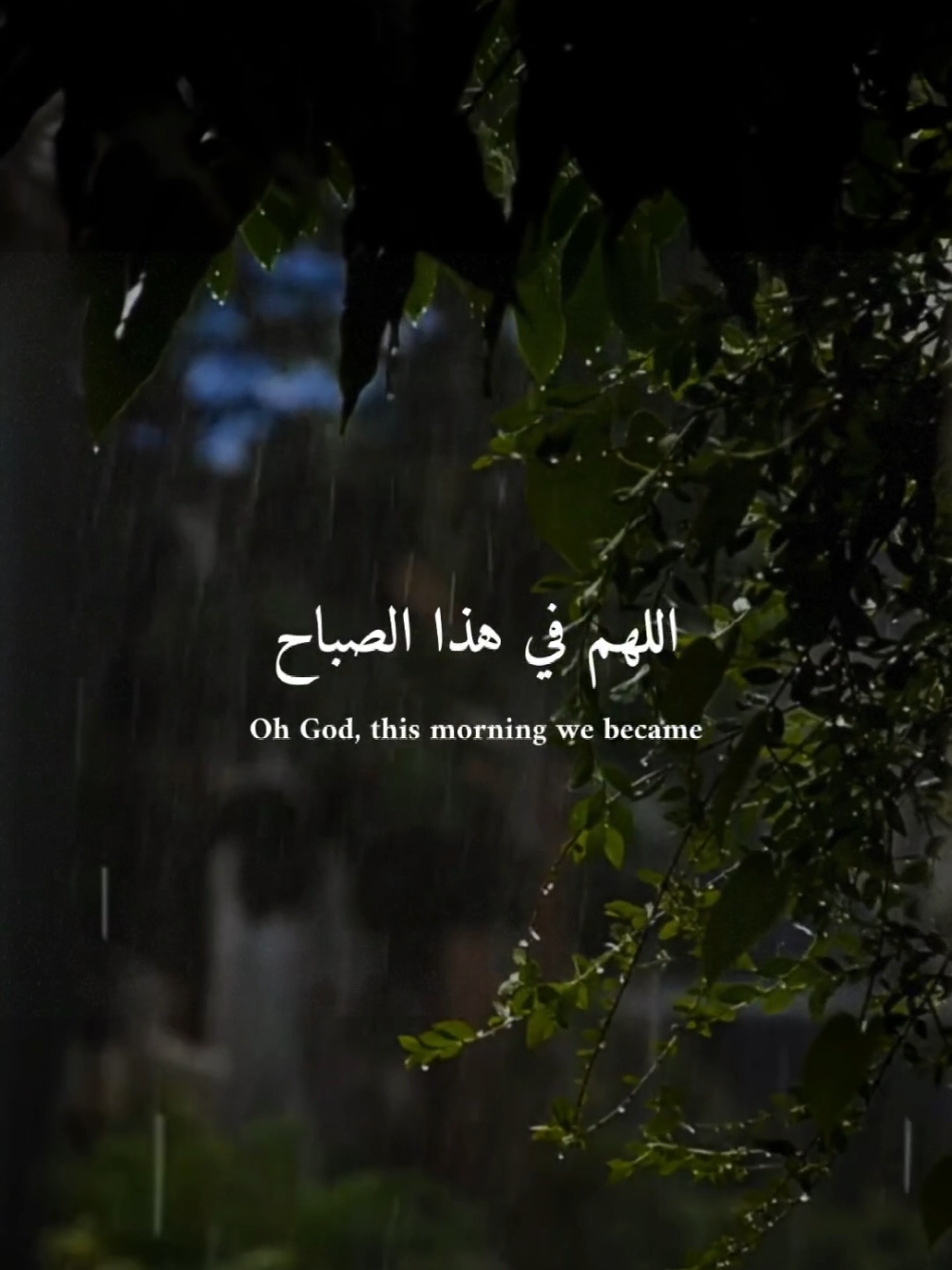 🌤 Start Your Day with This Powerful Morning Dua 🤲 | Peace | Positivity | Tawakkul. @daily quran  اللهم في هذا الصباح اجعل لنا نصيبًا من كل خير، وادفع عنا كل شر... Start your morning with this heart-softening dua: ✨ May Allah grant us goodness, protect us from harm, open our hearts, and bless us with peace of mind. 🤍 O Allah, forgive us and our loved ones and fulfill the wishes that live in our hearts. Let this dua guide your day with light, gratitude, and tawakkul (trust in Allah). 💫 A reminder for every soul seeking peace and purpose. 💬 Comment “Ameen” to receive this dua 🔁 Share this to start someone else’s day with barakah 🔔 Follow The Open Quran for more daily duas  — #MorningDua #PowerfulDua #IslamicPrayer #MuslimTikTok #TheOpenQuran #DuaOfTheDay #Tawakkul #fypシ゚ #dailydua  #IslamicReminders #SpiritualGrowth  