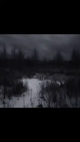 Decalius - Misanthropy #dark #decalius #misanthropy #black #darkforest #estetik #depresion 