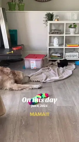 #onthisday 