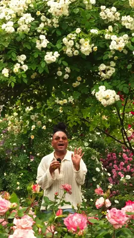 you is the garden, HUNTY! 🌹🌸🌺🌷🌻🌼 #message #justsaying #fyp #imjustsaying #silly #softlife 