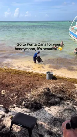Sargassum season won’t let us down #honeymoon #puntacana #dominicanrepublic 
