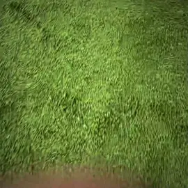 من لاعب غير مرغوب به ومستبعد من الدوري الى افضل لاعب في اسيا قصة عظيمة تركها بوبي 💚.  #فيرمينو #الاهلي #جمهور_الاهلي  #fyp #ahli #firmino #fyp 