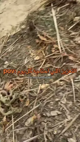 #ترندات_تيك_توك #الاحساء #مالي_خلق_احط_هاشتاقات #ترند_تيك_توك #بوريان🍁 #وحيد #جبوري #العرنتو #الشمراني #العطية #وليد_باشا #بوعمره #صويلح #الباندا #بوعرب #راجي 