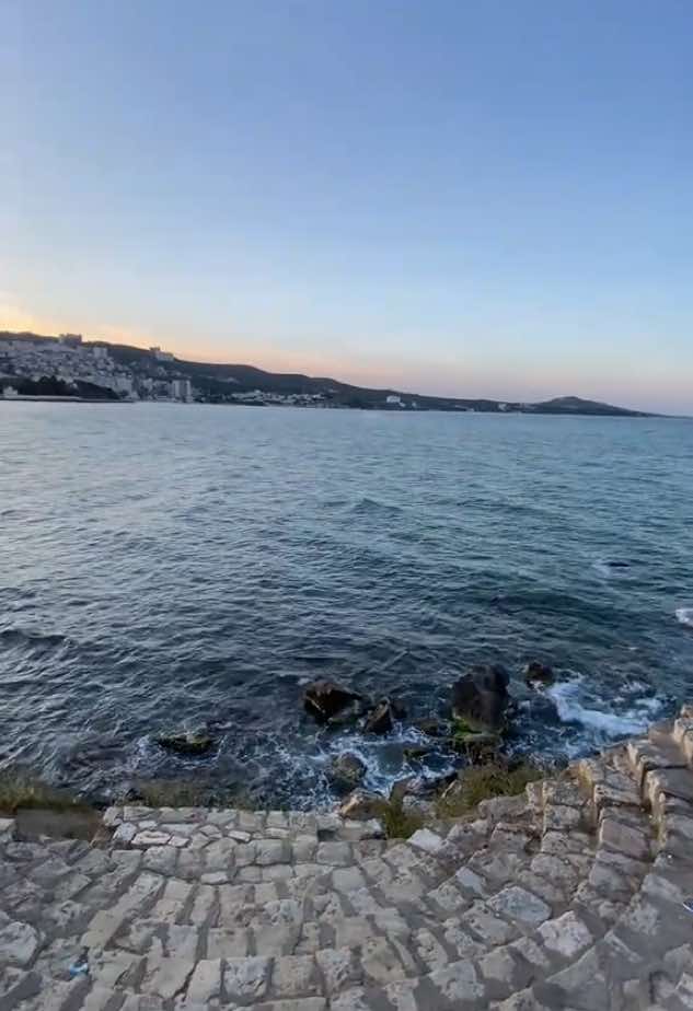 #pourtoi #fyp #explore #annaba #annaba23 #fypシ゚ #viralvideos #dz #عيد #عيد_الاضحى 