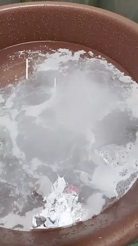 Naninilaw na puting damit? sagot kana ni @soapinaturals sa abot kayang halaga may Isang kilong oxalic kana❤️ #oxalic #oxalicacid #soapinatural #fypシ゚viral🖤tiktok #fypシ゚ #viralvideo #viral #trendingvideos #trendingvideo #trending #tiktokshopontrend #affordablefinds #affordable #tiktokaffordablefinds #fyp ##fyppppppppppppppppppppppp 