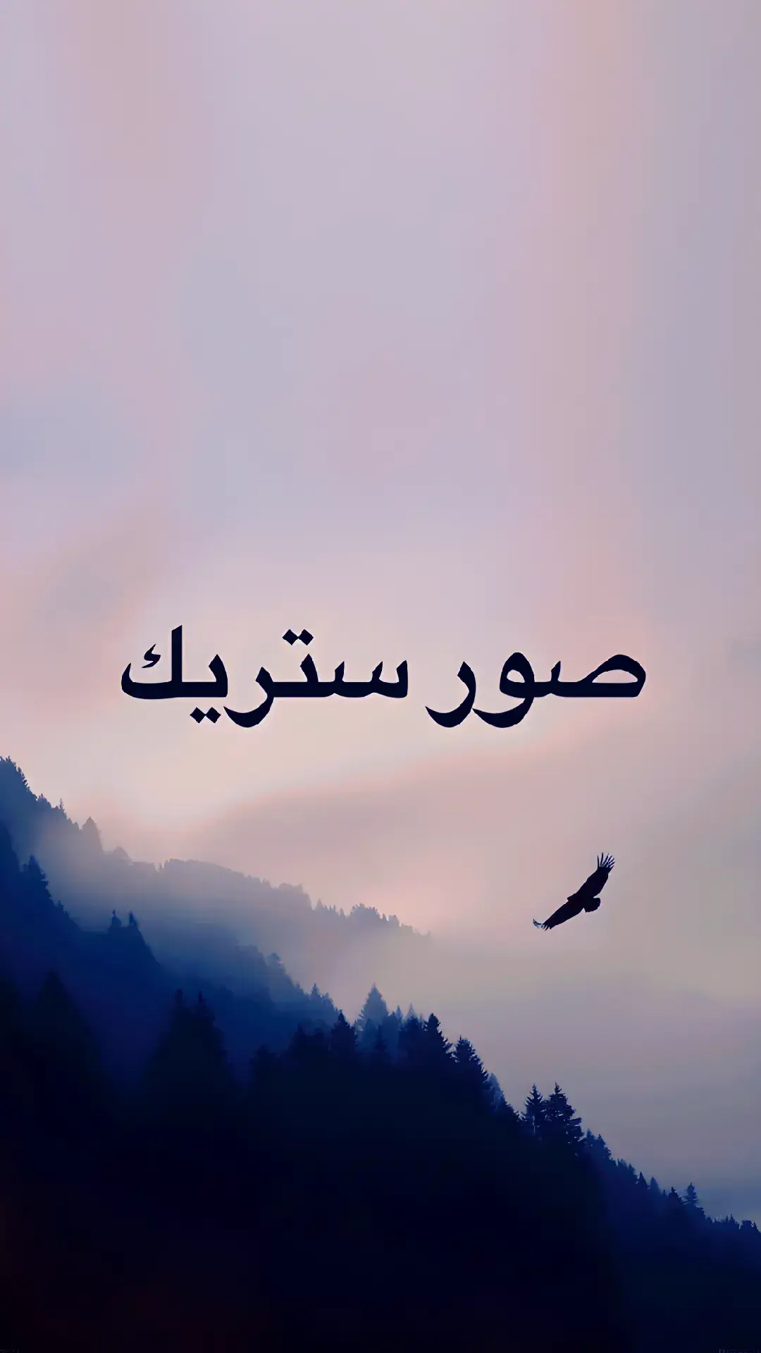 #ستريك #جام #fyp #نايف_بن_محمد_جام4x #صور_كأنها_لك 