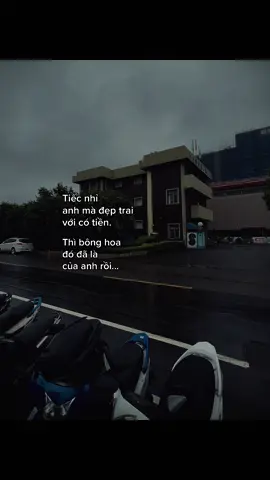 Phần 12| #nvt24th6 