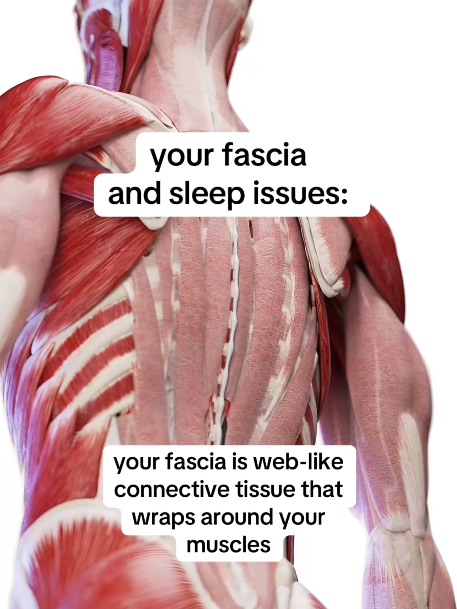 when your fascia is tight, it limits your body's ability to fully surrender into gravity, which blocks your ability to get restorative sleep 🥹 release stress & stored trauma in 30 days 🔗 on profile ✨ #traumarelease #stressrelease #cortisol #cortisollevels #hormoneimbalance #StressRelief  video by @ scieproofficial