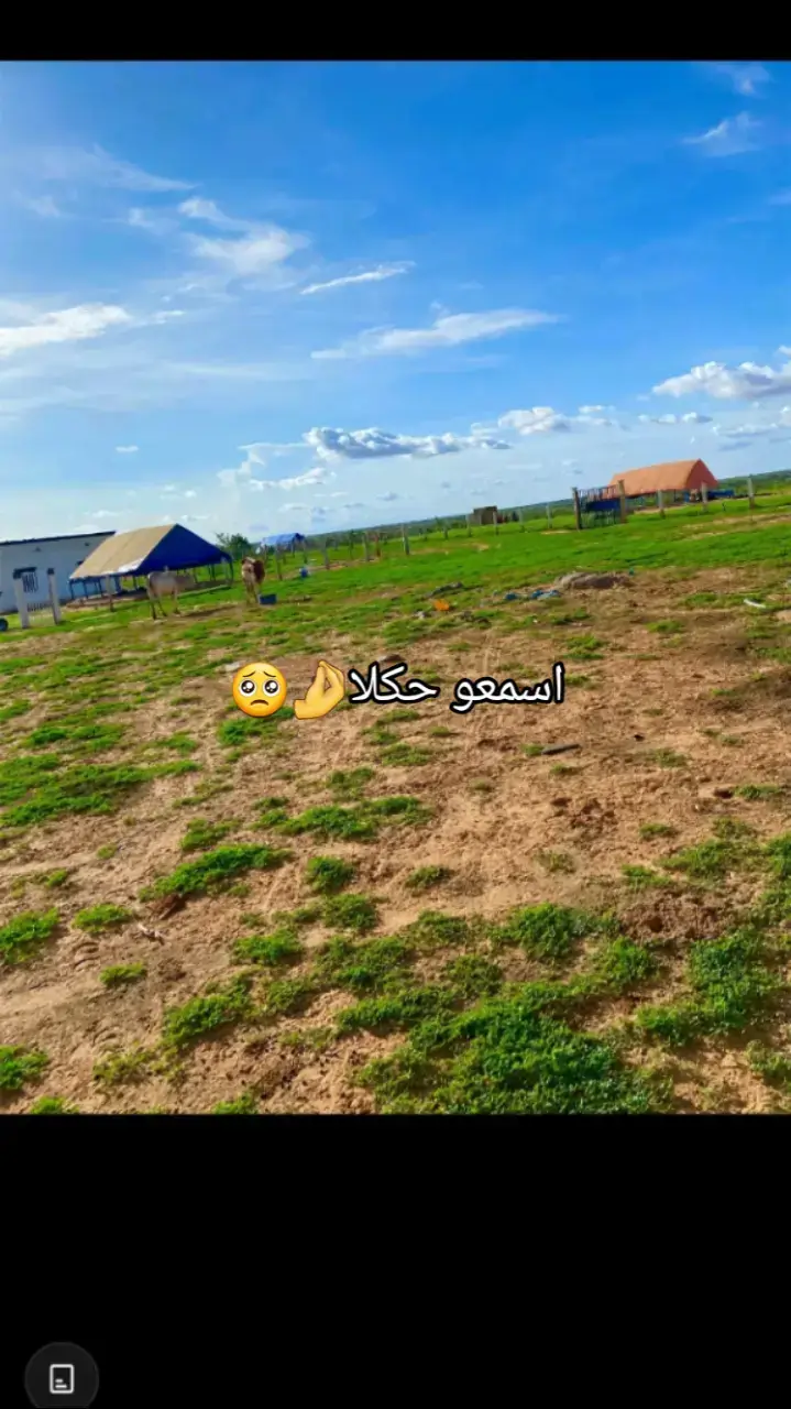 #الفنان الكبير الراحله ديمي منت آب