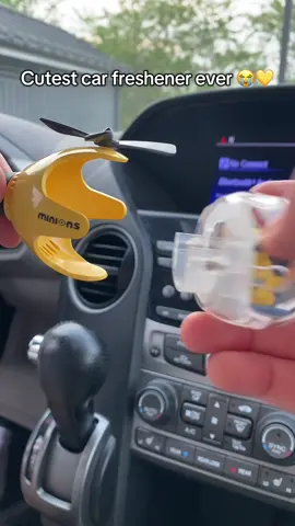 Bob looks so cute flying on my vent 😍