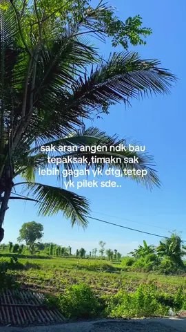 #fyp #knklombok🌴🕊 #storywa #lombokfypシ゚viral #fypdong #katakatastory #lomboktiktok_fyp #fyppppppppppppppppppppppp 