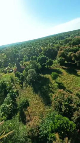 Langit biru, rumah menara, dan sejarah yang hidup - itulah Ratenggaro, mutiara budaya Sumba. 🎥 Source IG :@alfat_syahputra #culture #ratenggaro #ratenggarovillage #ratenggarobeach #sumba #sumbaisland #sumbadream📸 #pesonaindonesia #fyp #4u 