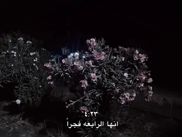 الجزء الـ3|صدى صوتك يدك بالراس ويران#شعر #الضلوعيه_صلاح_الدين 