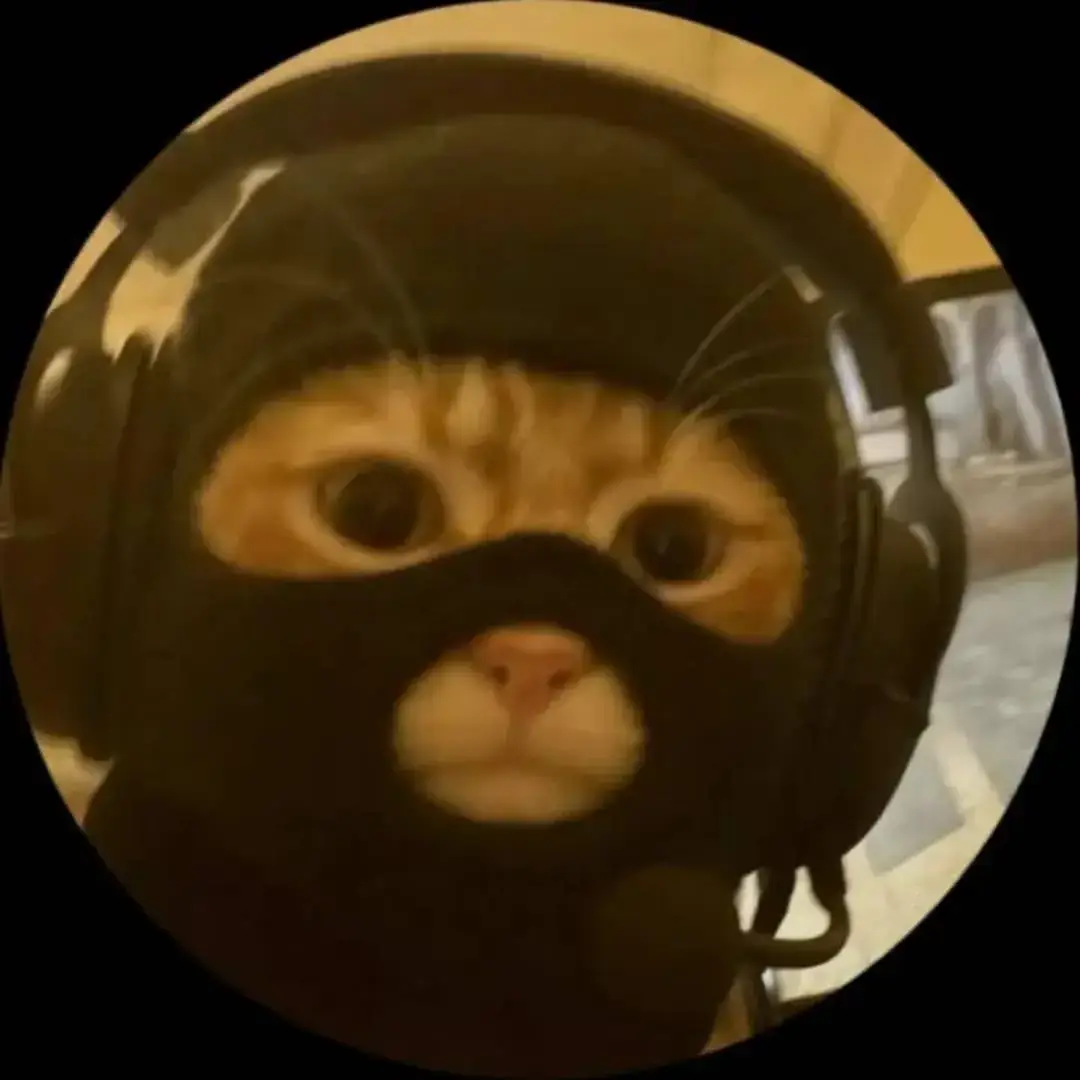 #kucing #kucinglucu #memekucing #memecat #Meme #fyp #fypage #kucingindonesia #cat #catsofinstagram #cats #catlover #memes #memepage #pov