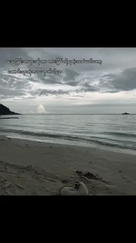 #ကောင်းရာဘုံဘဝရောက်ပါစေ🙏 #မင်းတို့ပေးမှ❤ရမဲ့သူပါကွာ #မြင်ပါများပီးချစ်ကျွမ်းဝင်အောင်လို့🤒🖤 #foryou 