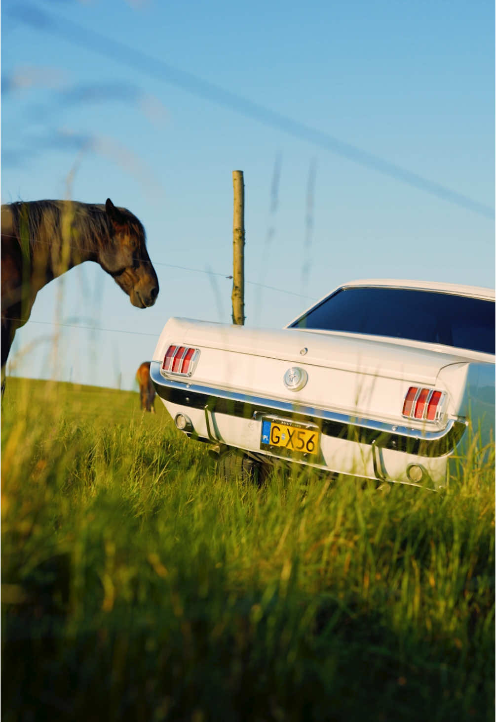 🎞️ “A legend among legends. 1966 Mustang meets the wild spirit of the West. Steel and muscle, side by side with flesh and power. Old souls, open roads...” 🏎️ @cars.life.dreams  🎥 @queli_studio  #FordMustang #Mustang68 #ClassicCar #MuscleCar #VintageVibes #CarVideography #AutomotiveFilmmaker #CinematicCars #WesternStyle #Horsepower #V8Sounds #MustangMadness #RetroRide #AmericanMuscle #Videography #CarContentCreator #CinematicVibes #vibe #photography #viral #quality #cars #car #vintage #sonyfx3 #sigmaart