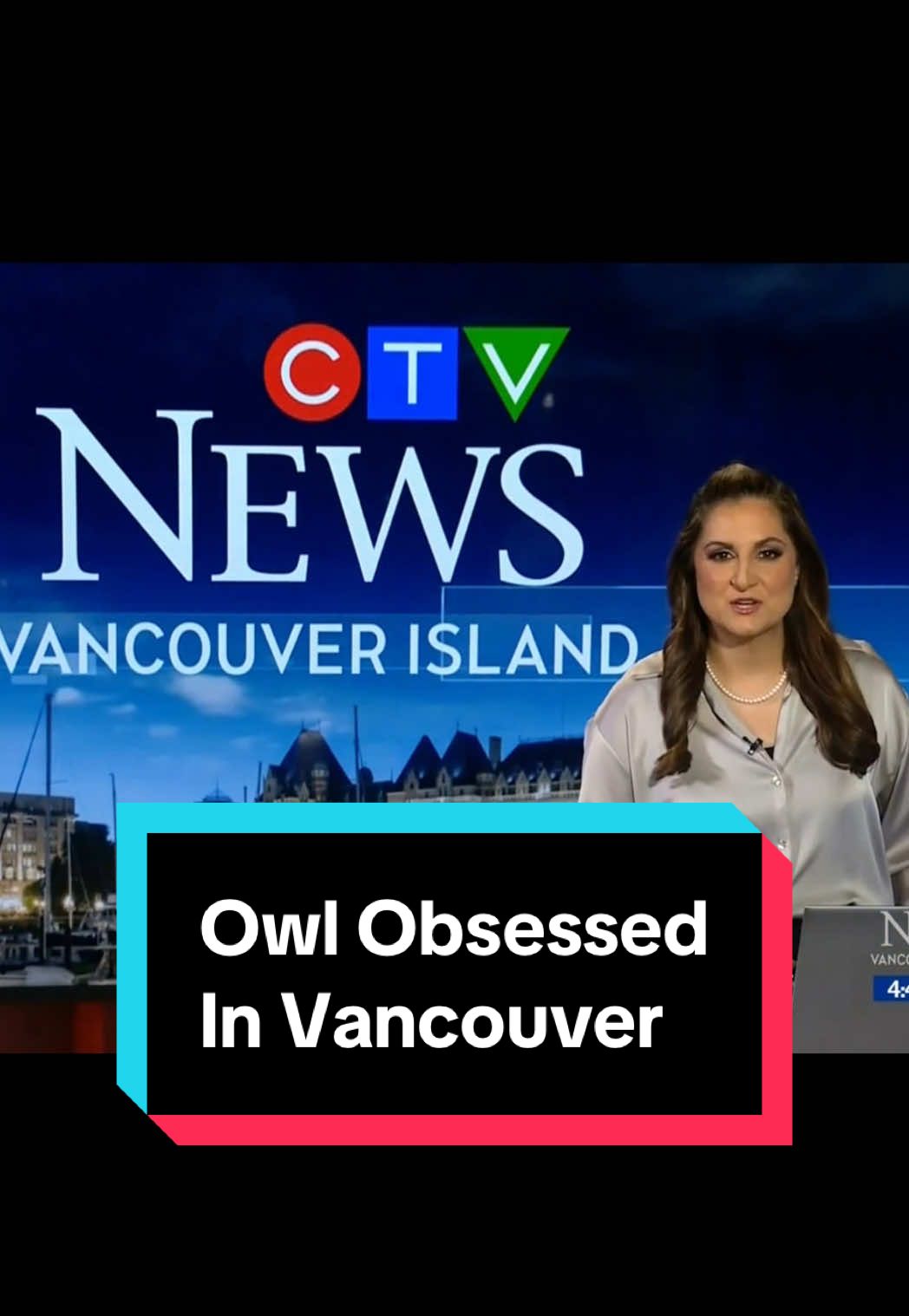 #Vancouver is a little #owl obsessed right now... a family of barrred owls has moved into Douglas Park, and everyone wants a catch a glimpse of the feathered family! #birds #birding #urbanwildlife #vancouverbc #vancouvernews #britishcolumbia #owls #canadiannews #canadanews #canada 