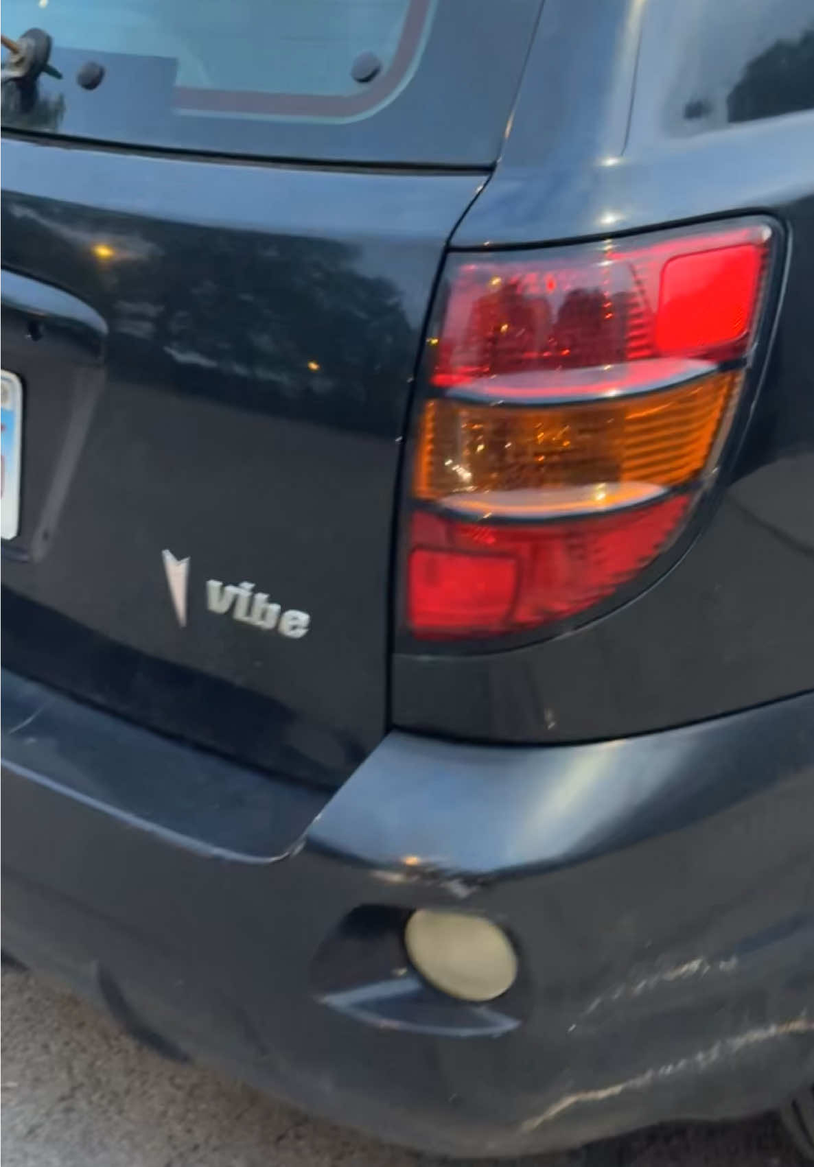 Did you catch the vibe? #fyp