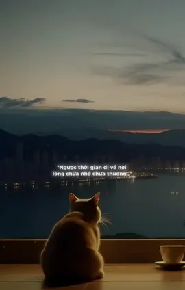 Gặp được người ấy là một định mệnh...Dù có tổn thương cũng chấp nhận thôi , không hối hận...!! #nhactamtrang #videotamtrang #buonmotxiu_0809 #xuhuong #foryou 