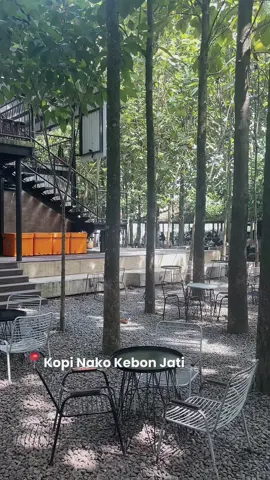 Tempat yang enak banget untuk chill dan ngopi 🌲☕️ .  Makanannya standar, tapi view dan ambiencenya si juara ⭐️ fix rame banget sih emg kl weekend. Sadly, area smokingnya ga terpisah, jadi hrs pinter2 cari area duduk kl bawa bocil 🥹🥲 But still having a good time ! ✨ 💚 #kopinakokebonjati #cafepuncak #kulinerpuncak 