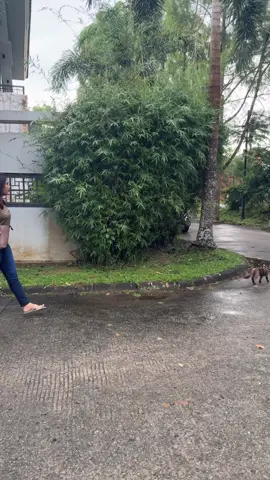 Inti na, “Paksa Ma Torus”!!! 😂😄🤣 #baraderpurba #sketsakomedi #fypage #halakbatak #halakhita #tarte #komedi #lucu 