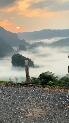 #เทรนด์อันดับ1วันนี้  @ บ้านทะเลหมอกภูลังกา #อย่าปิดการมองเห็น #route1148cafe  #เดือนมิถุนามีโปรโมชั่นลดเยอะเลยนะคะสำหรับห้องพักสนใจกดลิ้งหน้าโปรไฟล์ TikTok ได้เลยค่ะ