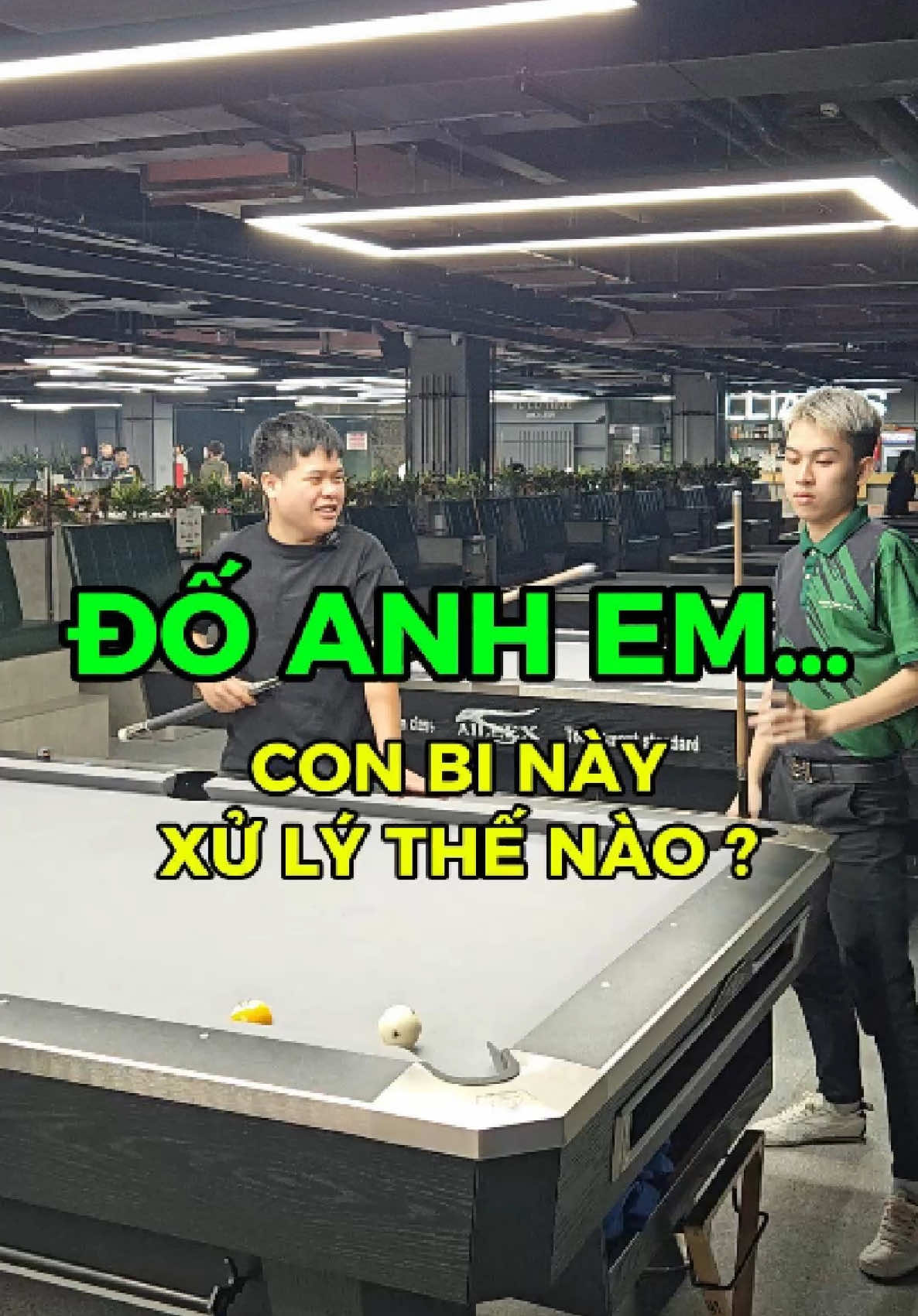 Điều thế này mà đòi đi đánh độ ? Còn cách điều nào khác không anh em. #billiards #hoangphutho #billiard #xuhuong #fyb 