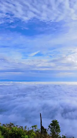 Saya akan balik lagi ke seminung dengan seseorang ga kalah indah nya. #gunungseminung #lumbokseminung #fyp #pendaki #pendakigunung #fypシ゚ 