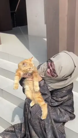 #masyaallahtabarakkallah 