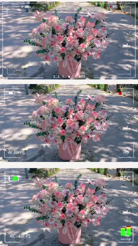 Hoa tươi Hồng song hỷ #hoatuoihue #thuynguyenflower #xuhuongtiktok #viral 