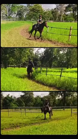 #bendangstabel #fyp  #kudapacuindonesia 