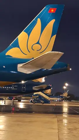 Yêu nhau đi để ngày mai chia ly  #yeumaybay  #vietnamairlines  #tiktokawardsvn2025 