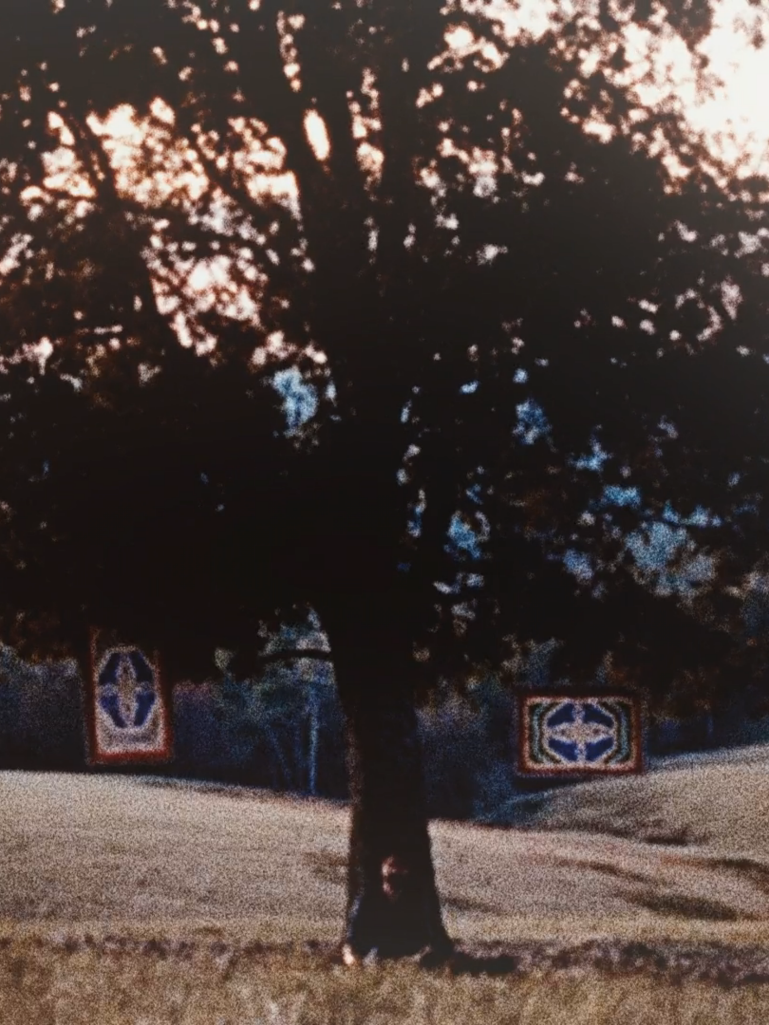 Mercy. | #rickgrimes #thewalkingdeadedit #aftereffects #rickgrimesedit #thewalkingdead
