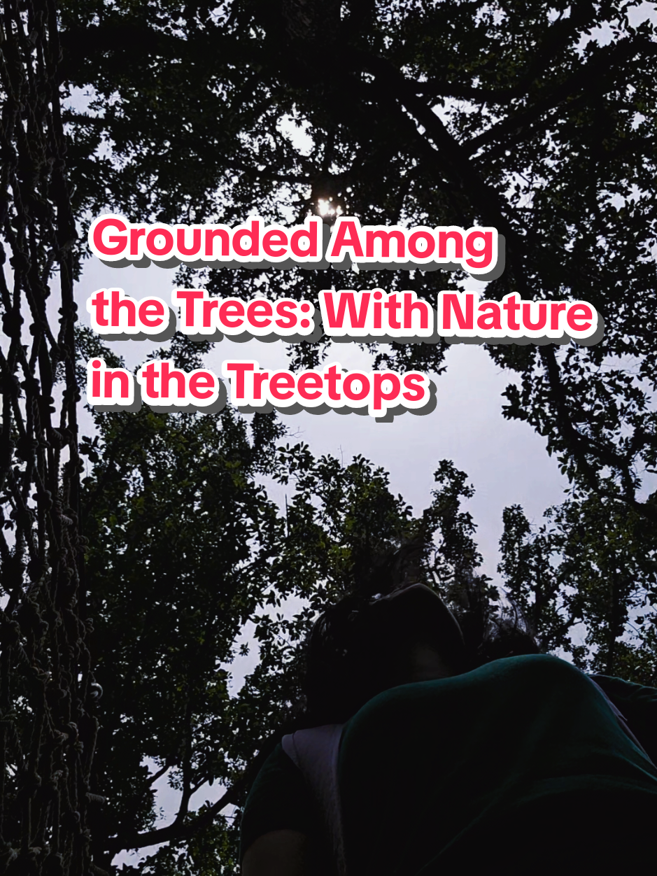 Must place to visit for nature lover. Grounded Among the Trees: Nature as Healing in the Treetops. Up here in La Foret, 1 hr drive from Vientiane, it’s all about the whispers of the trees and birds 🌳✨ I’m feeling so connected to nature! Come and touch the beauty for yourself! #LaosAdventures #NatureLover #laforet #vientiane #naturevibes #travellife #vientianelaos🇱🇦  #placestovisitinvientiane #thingstodoinvientiane  #creatorsearchinsights  @Rangoon Traveller_Travel Blog  @Rangoon Traveller_Travel Blog  @Rangoon Traveller_Travel Blog 