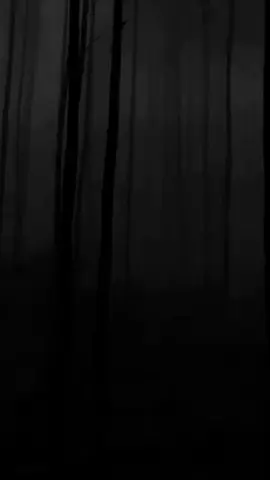 #storytime 