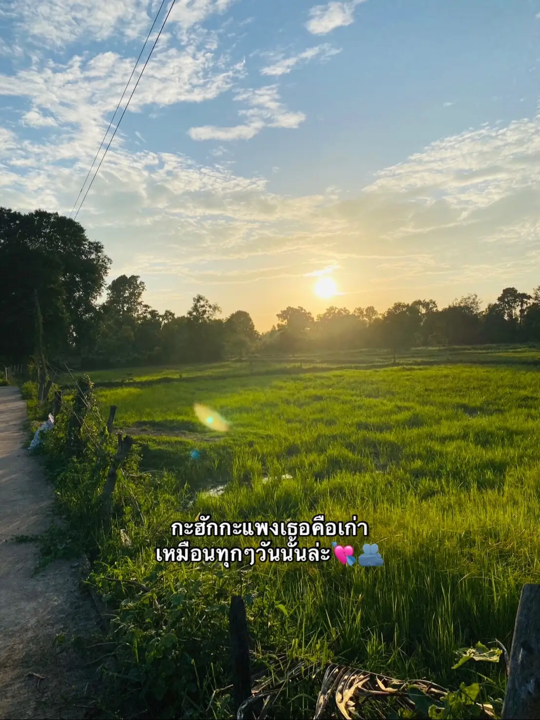 #ฟีดดดシ #เธรดของน้องไผ่💞🤘🏻 #แฟน 