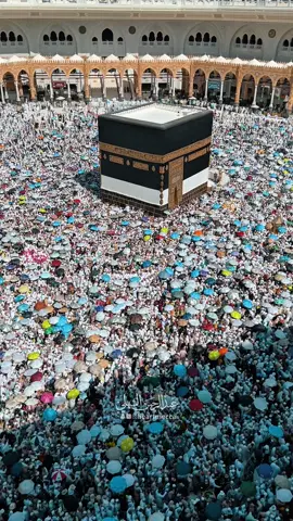 هو الرحمن في يوم عظيمٍ ‏كريمٌ لا يرد سؤال قلبي 🤍 #اكسبلور #المسجد_الحرام #طواف_الوداع 
