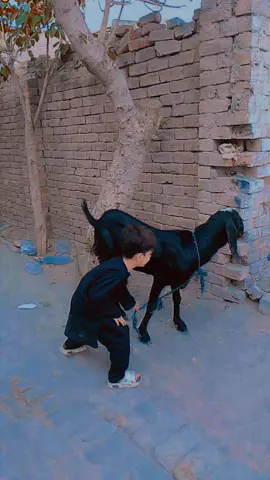 #پاگل۔ہو۔گئ۔ہو #🔥❤️‍🔥🤏 