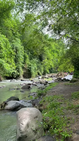 Free to use pang myday #fyp #vidoes #natures #nature #story 